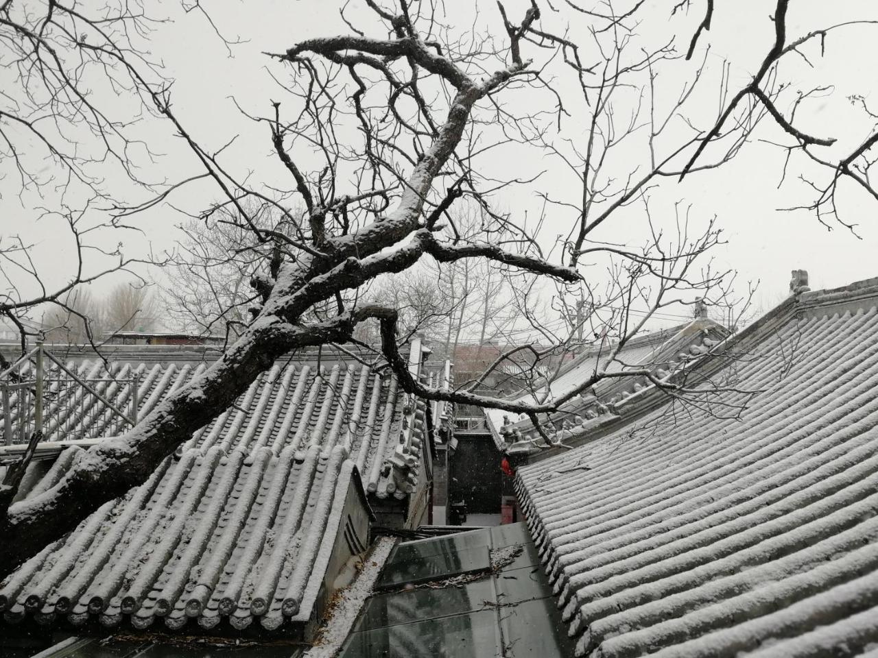 Beijing Fly By Knight Courtyard Hotel Ngoại thất bức ảnh